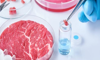 Лабораторный анализ пищевых продуктов по СанПиН в Павловском Посаде в октябре