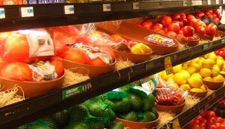 Сертификация пищевой продукции в Павловском Посаде – цена от 10162 руб. | ПромМир-Пвл