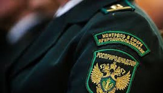 Подготовка к проверке Росприроднадзора в Павловском Посаде от ПромМир-Пвл, стоимость услуги от 20324 руб.
